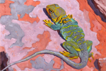 Painting of Collared Lizard