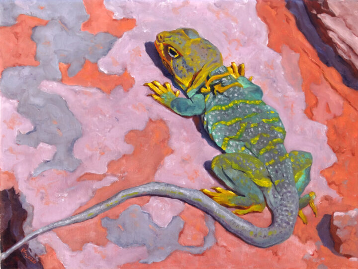 Painting of Collared Lizard
